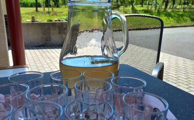 pampeliškové víno