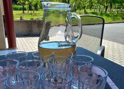 pampeliškové víno