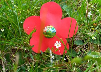 Šikovné děti z MŠ a ZŠ Chvalčov