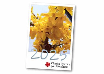 Výroční zpráva 2025